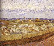 Vincent Van Gogh Blooming peach Sweden oil painting artist